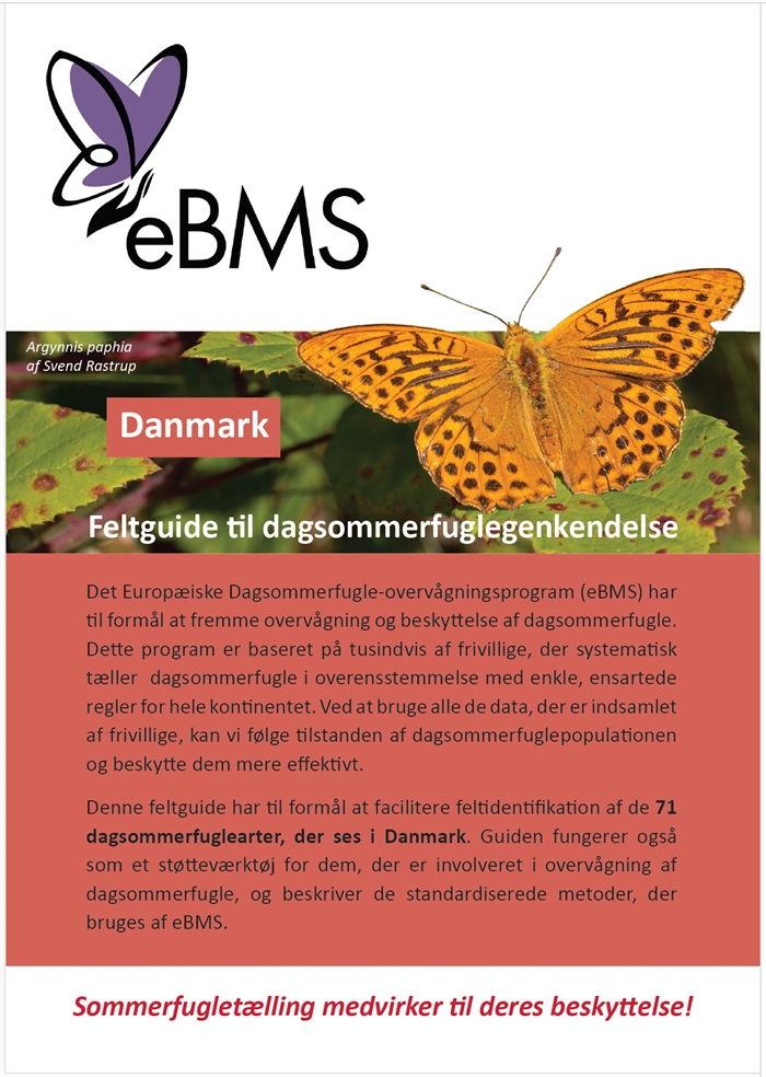 Få feltguide til dagsommerfuglegenkendelse med gratis ved køb af en af vores plakater :-)