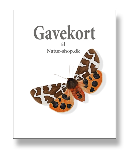 Gavekort